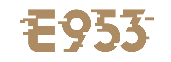 E953